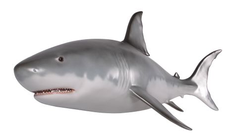 Wall Mounted Great White Shark 6ft