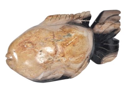 Petrified Wood Fish